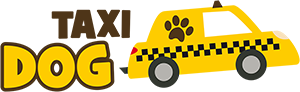 taxi-dog