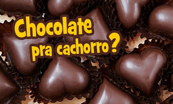 chololate pra cachorro