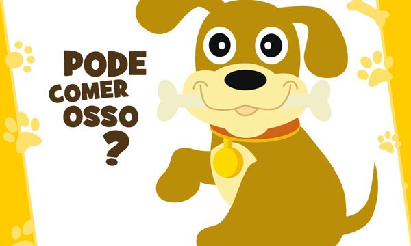 osso parte 01