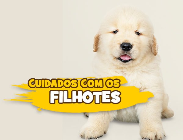 post filhotes