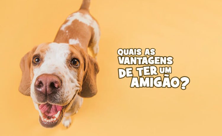 vantagens de ter um amigao