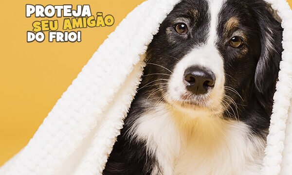 blog frio