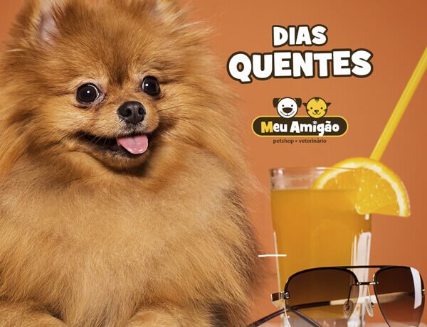 blog dias quentes