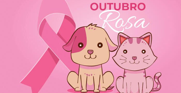 blog outubro rosa campanha