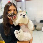 curso meu amigao 14