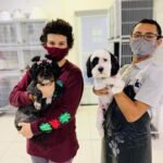 curso meu amigao 19