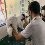 curso meu amigao 20