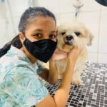 curso meu amigao 21