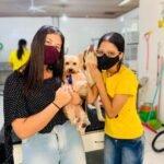 curso meu amigao 23