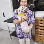curso meu amigao 24