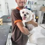 curso meu amigao 26