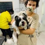 curso meu amigao 3
