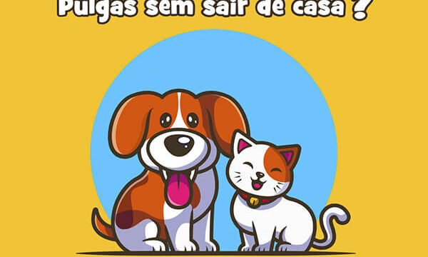 blog pulgas em casa