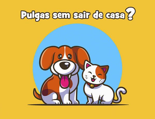 blog pulgas em casa