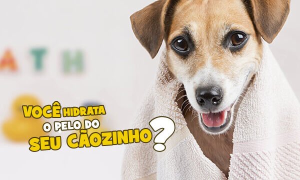 blog hidrata