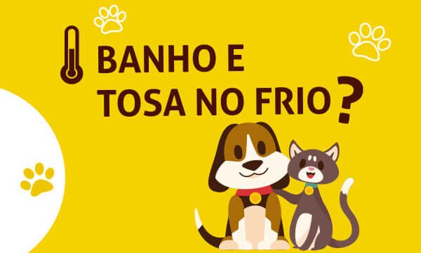 banho e tosa no frio