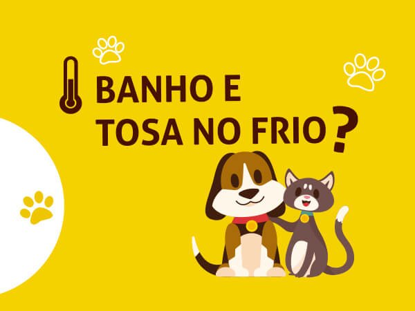 banho e tosa no frio