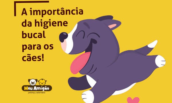 blog higiene bucal