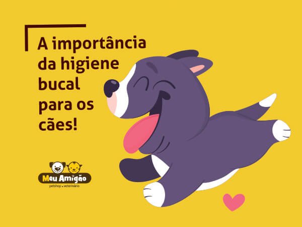 blog higiene bucal