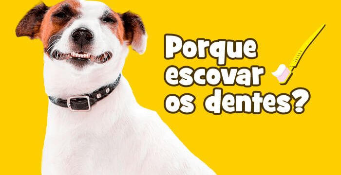 Porque escovar os dentes dos Pets?
