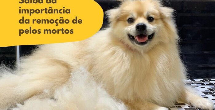 remoção de pelos mortos