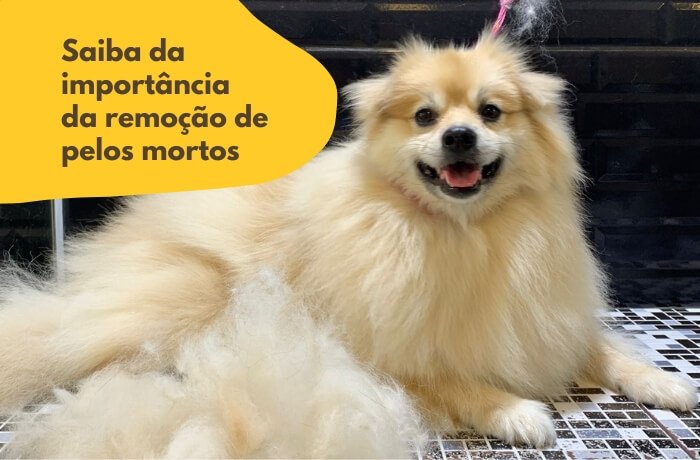 remoção de pelos mortos