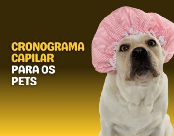 Cronograma capilar para os Pets