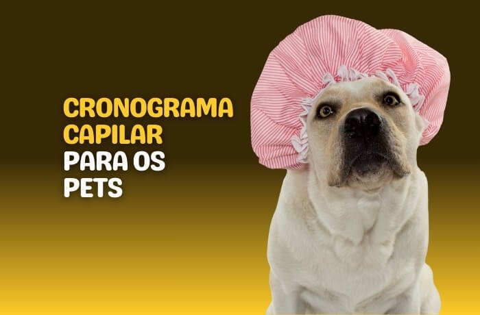 Cronograma capilar para os Pets