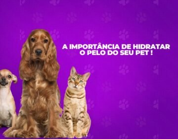 hidratacao blog