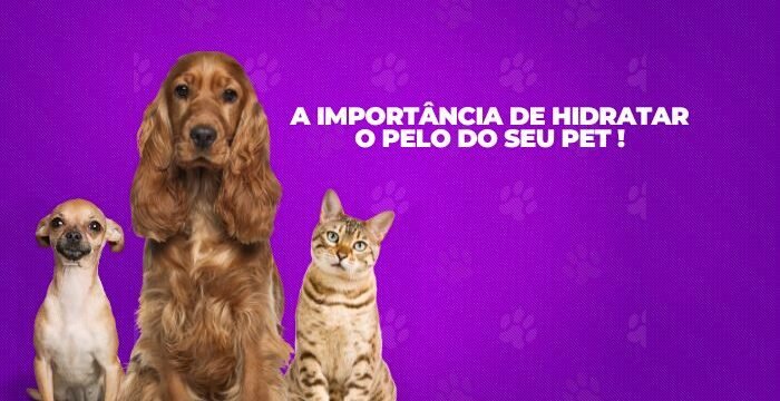 hidratacao blog
