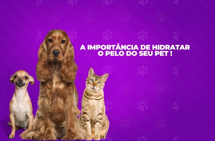 hidratacao blog