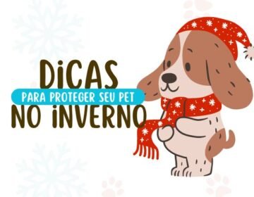 dicas para proteger seu pet no de inverno