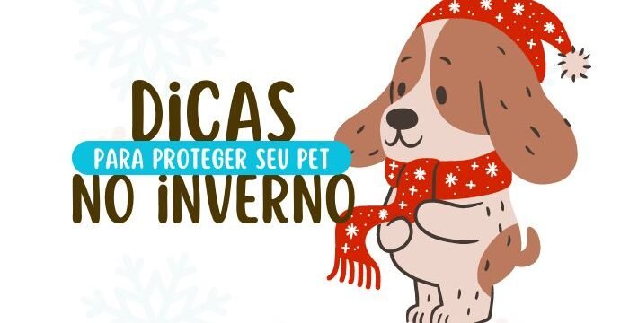 dicas para proteger seu pet no de inverno